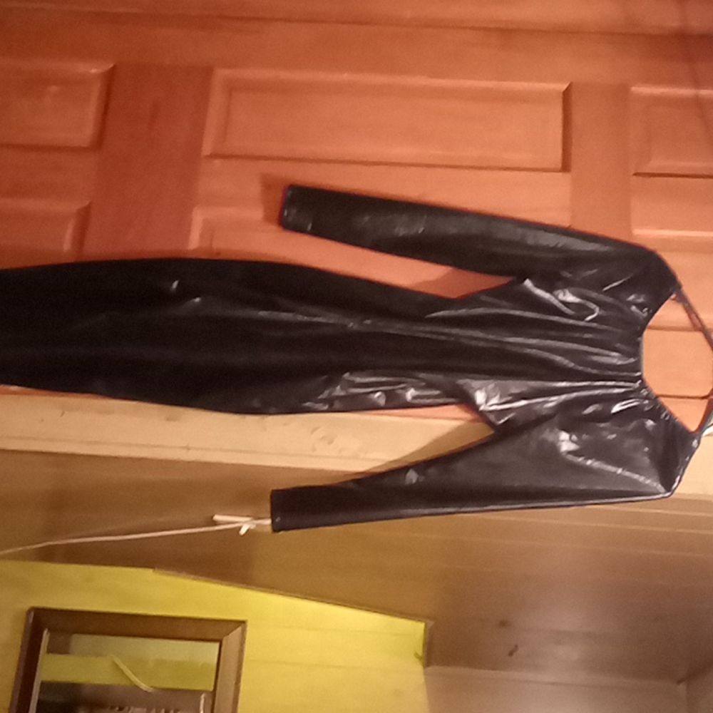 Beautiful catsuit - Picture 2 of 2